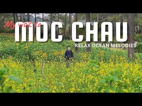 Slowing Down the Journey | Relaxing Travel Vlog