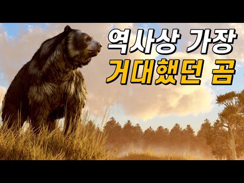 곰의 진화｜지구에서 가장 거대했던 곰은 왜 멸종했을까?