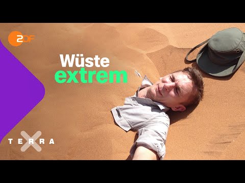 Überlebenstraining: 24 Stunden in der Wüste ohne Wasser | Terra X plus