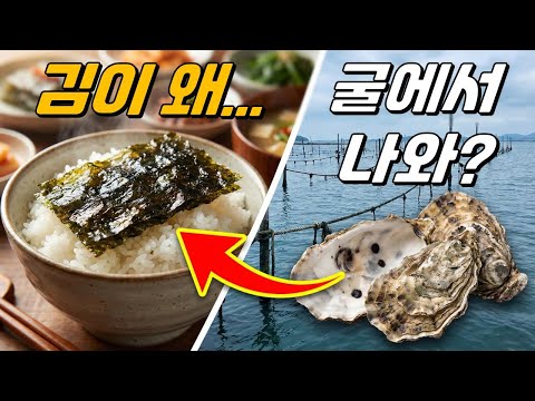 김 양식에 반드시 굴껍데기가 필요한 이유!｜김의 과학