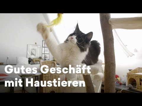 Das gute Geschäft mit den Haustieren – von Hunden bis Katzen | Doku aus Österreich
