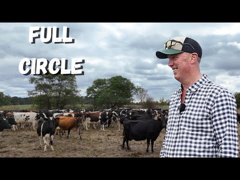 From Sick Cows to Soil Revival: A Young Couple's Regenerative Dairy Breakthrough