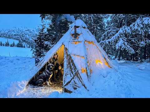 3 Days WINTER CAMPING in Blizzard With My Dog. -13° WILDERNESS SURVIVAL. Snowstorm Bushcraft ASMR
