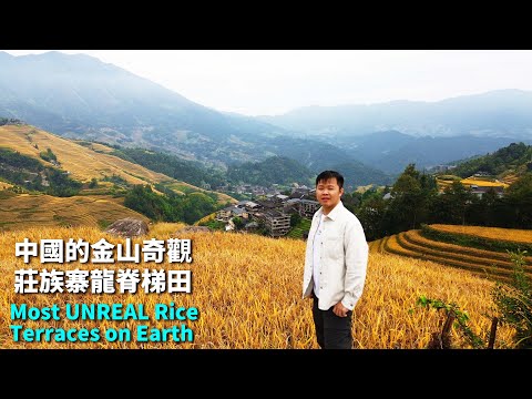 I Stumbled Into China’s Golden Dragon — The Longji Terraces Blew My Mind🇨🇳