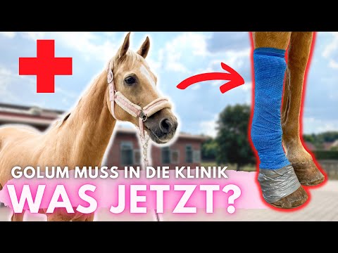 GOLUM MUSS IN DIE KLINIK!!