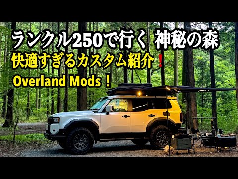 【ランクル250で行く神秘の森 /快適すぎるカスタム紹介❗️】2025 Toyota Land Cruiser 250 Forest Camping - Overland Mods!　GIWORKS