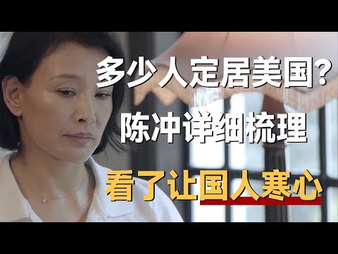 有多少人中国人定居美国？陈冲详细梳理原因后，看了让国人寒心《十三邀S4 ThirteenTalks》 #许知远#十三邀