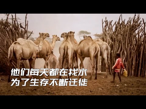 他们每天醒来就开始寻找水源，为了生存，只能和动物一起不断迁徙