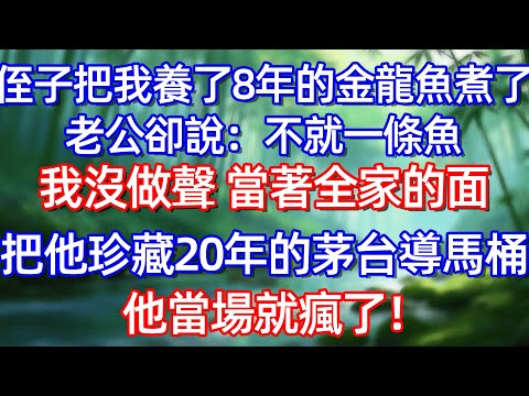 侄子把我養了8年的金龍魚煮了 老公卻說:不就一條魚我沒做聲 當著全家的面把他珍藏20年的茅合導馬桶 他當場就瘋了!#情感故事 #生活經驗  #為人處世  #老年生活#故事