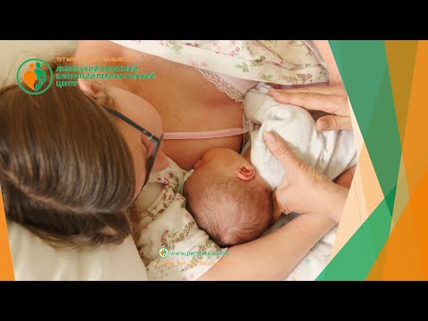Позиції для грудного вигодовування | Львівський клінічний перинатальний центр