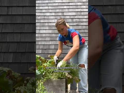 lobster cobb salad is always a crowd pleaser🦞🥬