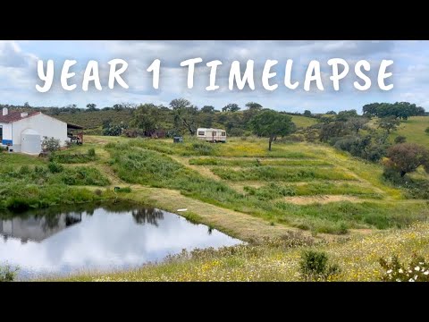 We Transformed an Empty Slope into an Orchard using Permaculture Swales // YEAR ONE