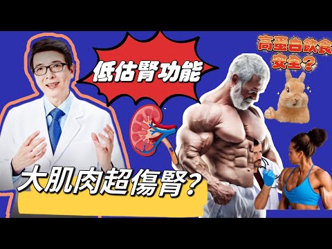 健身重訓練出一身大肌肉，是否會傷腎？肌肉男肌肉女為何腎功能被低估了？重訓攝取高蛋白又擔心影響腎功能該怎麼辦？#慢性腎衰竭 #腎臟病 #健身#重訓#高蛋白飲食#腎絲球過濾率