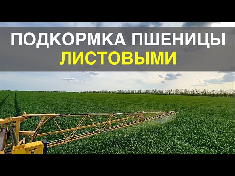 Листовая подкормка озимой пшеницы