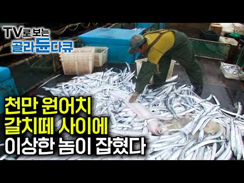 해산물만 먹을 줄 알았어? 생선 질린 선원들에게 고기반찬 차려줬더니｜선장 밥상만 따로 차리는 이유｜대박 아님 쪽박이라더니. 마지막 한방에 천만 원어치 잡았다｜극한직업｜#골라듄다큐