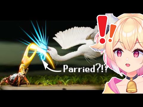 The Crustacean Tier List | rosiebellmoo reacts to TierZoo