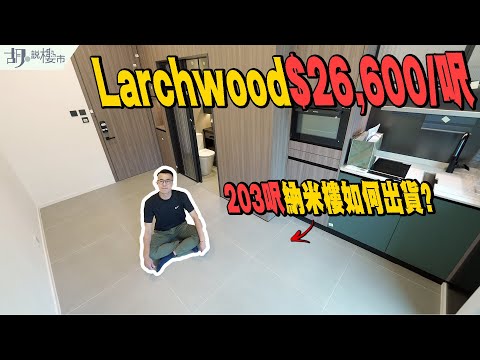 🌳Larchwood驗樓🌳$26,600/呎之納米樓開箱❗️高價出貨謎底係咩⁉️｜宏安｜FINNIE｜胡‧說樓市