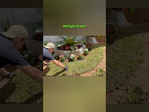 Jardim criativo para pequenos espaços!🌸🌿🌼🌿