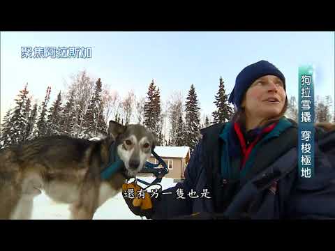 【精選】愛斯基摩人 在冰凍大地怎生存？ 冰湖上打洞釣魚找食物 交通工具駕著雪撬犬 時速15英里奔馳北極圈 人體耐寒極限 體驗北極圈住民日常 ｜極地長征《聚焦全世界》聚焦阿拉斯加｜舒夢蘭
