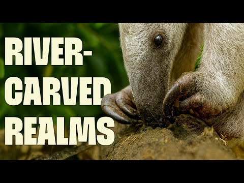 Evolutionary Eden & Heart of the Americas | FULL DOCUMENTARY | Wild Colombia | @UltimateNatureDocs