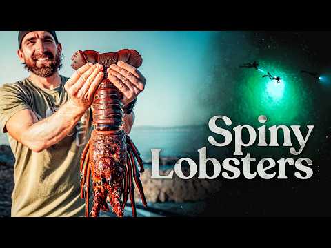 Catching Lobsters with our Bare Hands!