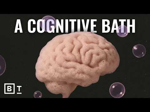 The science behind the 10-minute brain reset walk | Wendy Suzuki