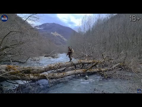 Bear hunt in the Caucasus Mountains