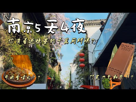 【江蘇南京🇨🇳5天4夜】（ENG SUB) 20000台幣可以去南京自由行？你有看過德基千萬打造的廁所嗎？巧克力🍫裡面竟然包和牛🥩！？夫子廟→老門東→新街口→德基廣場→1912街區→南京大學NJU