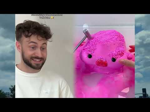 🤣👌👌👌2025 pov Must-Watch Crazy Clips Compilation #humor #fypシ #pov #fyp #foryou 😍😜