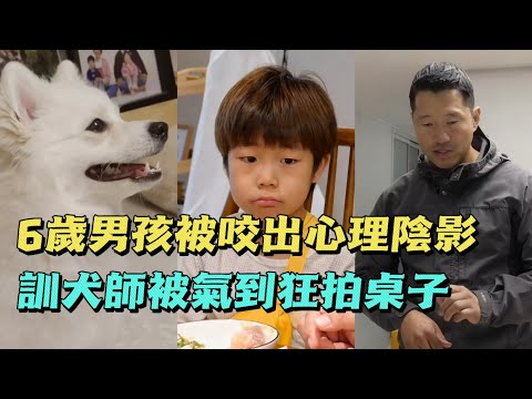6歲男孩被寵物狗當成玩物，父母卻不管不顧，訓犬師直呼看不下去了