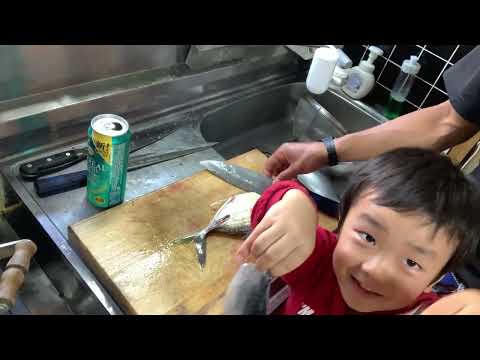 夕食ライブ 2025.11.16 ウスバハギ