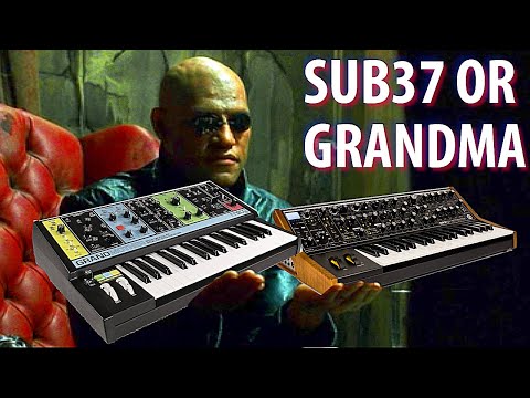 SYNTH VS SYNTH -- Moog SUB 37 or Moog Grandmother?