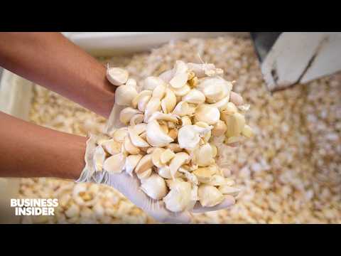 The Rise And Fall Of 17 American Industries | Business Insider Marathon | Business Insider