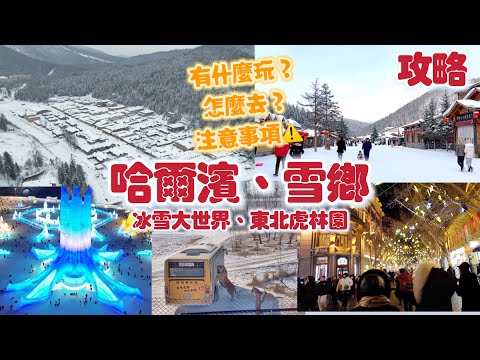 哈爾濱冰雪大世界、中央大街、雪鄉攻略｜值得去？如何去？｜珈羲Kathy｜KaHeiKathy