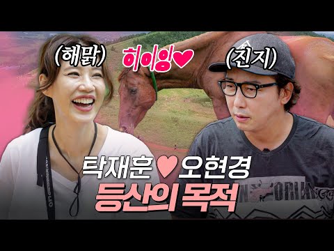 탁재훈♡오현경 여행사 비즈니스 그 첫 관문! 그날 오름에서 생긴 일 | #우리다시사랑할수있을까 #탁재훈 #오현경 #김수로