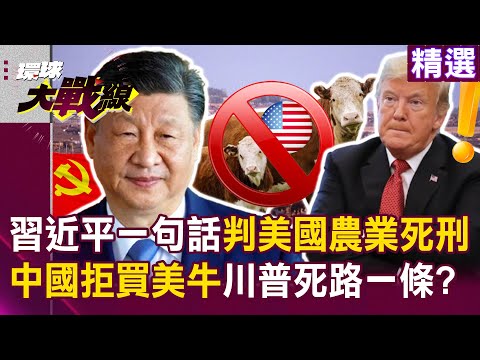 【精選】習近平徹底掌握「美國大豆市場」川普死路一條？！ 中國下一波拒買美牛「改吃澳洲牛肉」美國迎來農業末日？！｜#環球大戰線  @Global-vision-talk