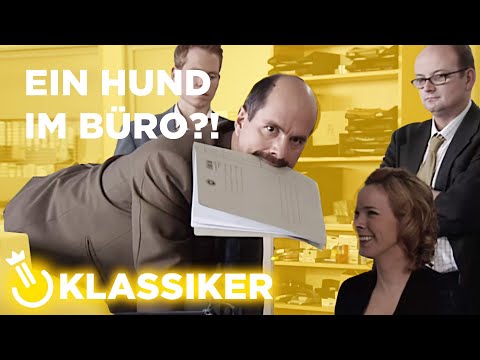 Ein Hund im Büro?! - BestOf Stromberg Staffel 3 | Klassiker
