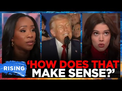 Abby Phillip CLASHES With CNN Panelist Over IMMIGRATION, Culture COMPATABILITY | RISING