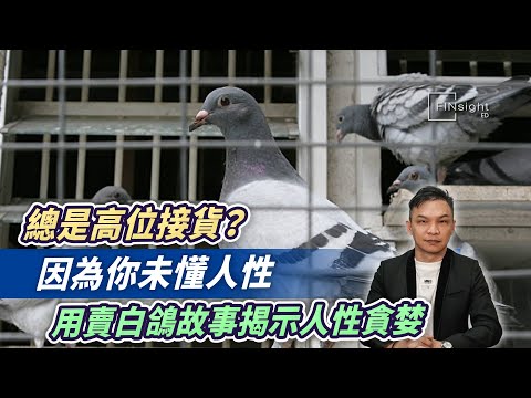 (字幕)總是高位接貨？因為你未懂人性，用賣白鴿故事揭示人性貪婪【HEA富｜郭釗】 #商業殘酷 #香港樓市