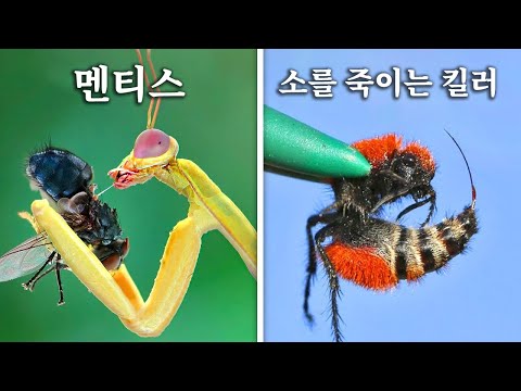 I built a home for rare insects…