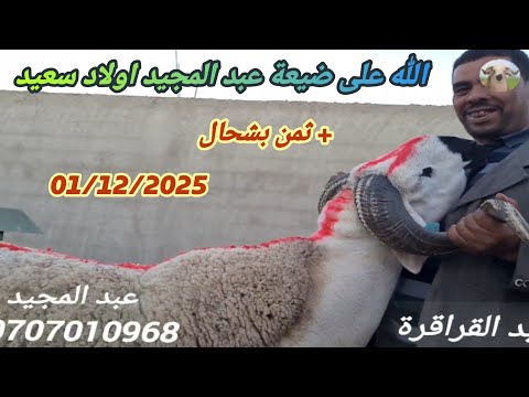 اليوم في اولاد سعيد ضيعة عبد المجيد الخير كثير تبارك الله مع دكر الثمن بتارخ 1/12/25