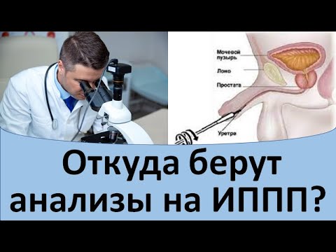 Откуда берут анализы на ИППП?