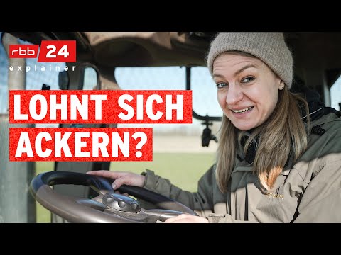 Big Farm, Tough Job: What Life as a German Farmer Looks Like