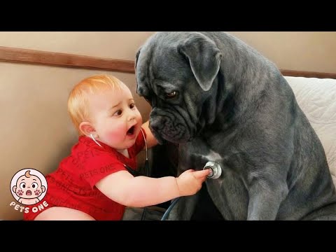 When Big Dogs Prove They're the Best Babysitters 🐶 Wholesome Baby And Dog Video