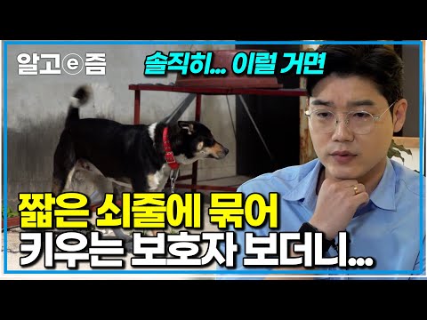 짧은 쇠줄에 묶여 있던 개보더니...결국 폭발해버린 설쌤?!｜세상에 나쁜 개는 없다｜알고e즘