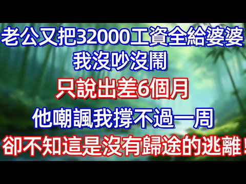 老公叉把32000工资全給婆婆 我沒吵沒罱 只說出差6個月 他嘲諷我撑不過一周 卻不知這是沒有歸途的逃離!#情感故事 #生活經驗  #為人處世  #老年生活#故事