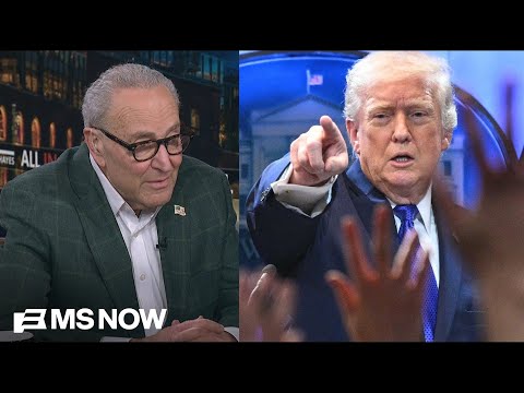 ‘Like a baby’: Schumer BLASTS Trump’s tantrum over tariff defeat