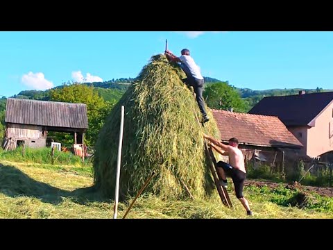 Life on a Small Mountain Farm – Haymaking, Turkeys & Traditional Cooking