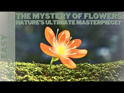 The Mystery of Flowers: Nature’s Ultimate Masterpiece? - Full Documentary