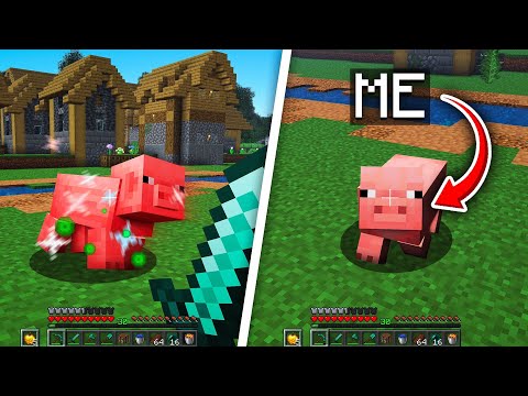 Minecraft But I Morph Into The Mobs I Kill